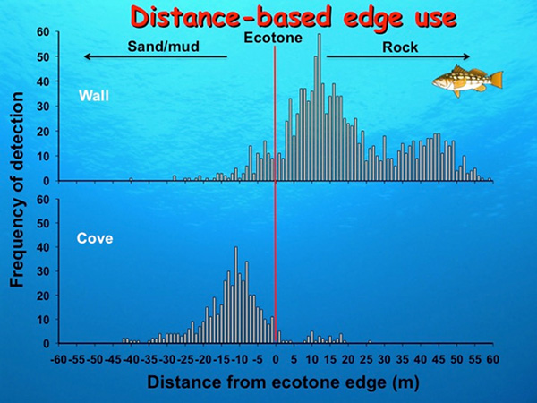 Fig. 11. kelp bass distance-based edge use