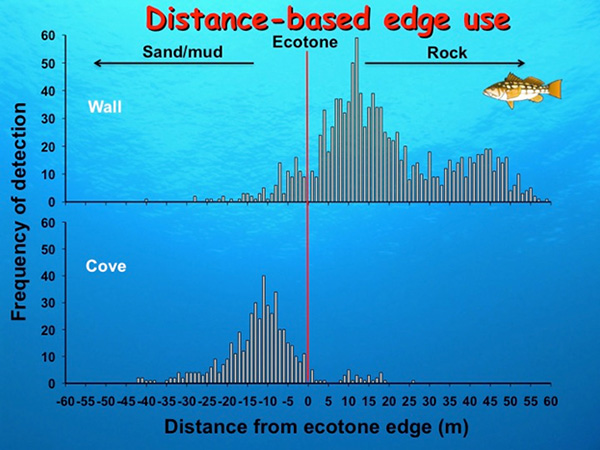 catalina-kelp-bass-edge-use.jpg Fig. 11. kelp bass distance-based edge use