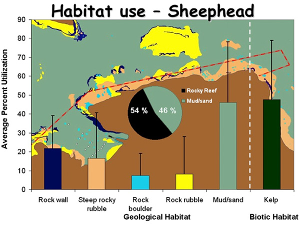 Fig. 14. habitat use of California sheephead