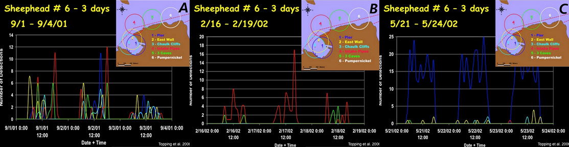 Fig. 15. California sheephead number 6 site expansion