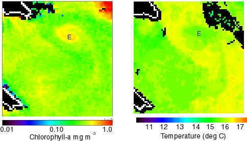 catalina_seawifs_color_sst.jpg SeaWiFS ocean color data paired with AVHRR SST data for the