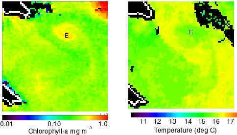 SeaWiFS ocean color data paired with AVHRR SST data for the 