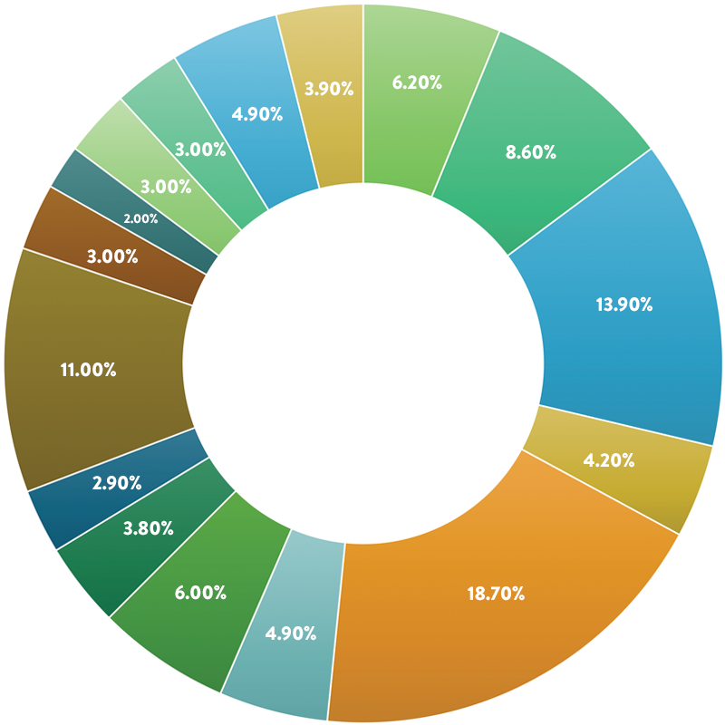 By the number Pie chart