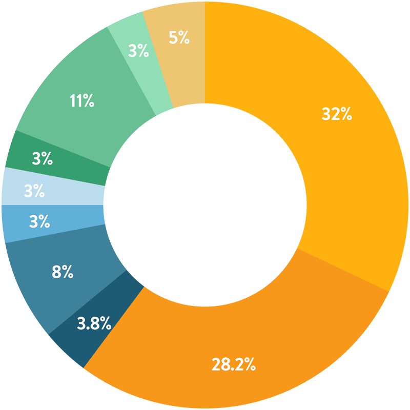 By the number Pie chart