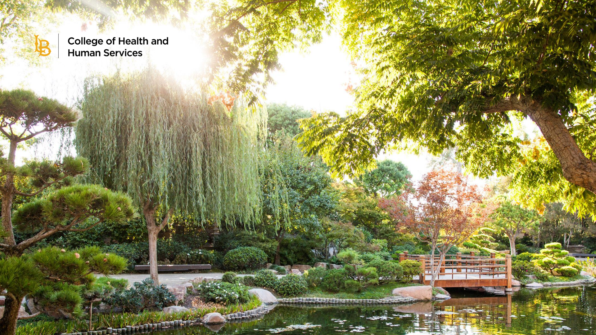 chhs_zoom_background_garden.png japanese garden zoom background