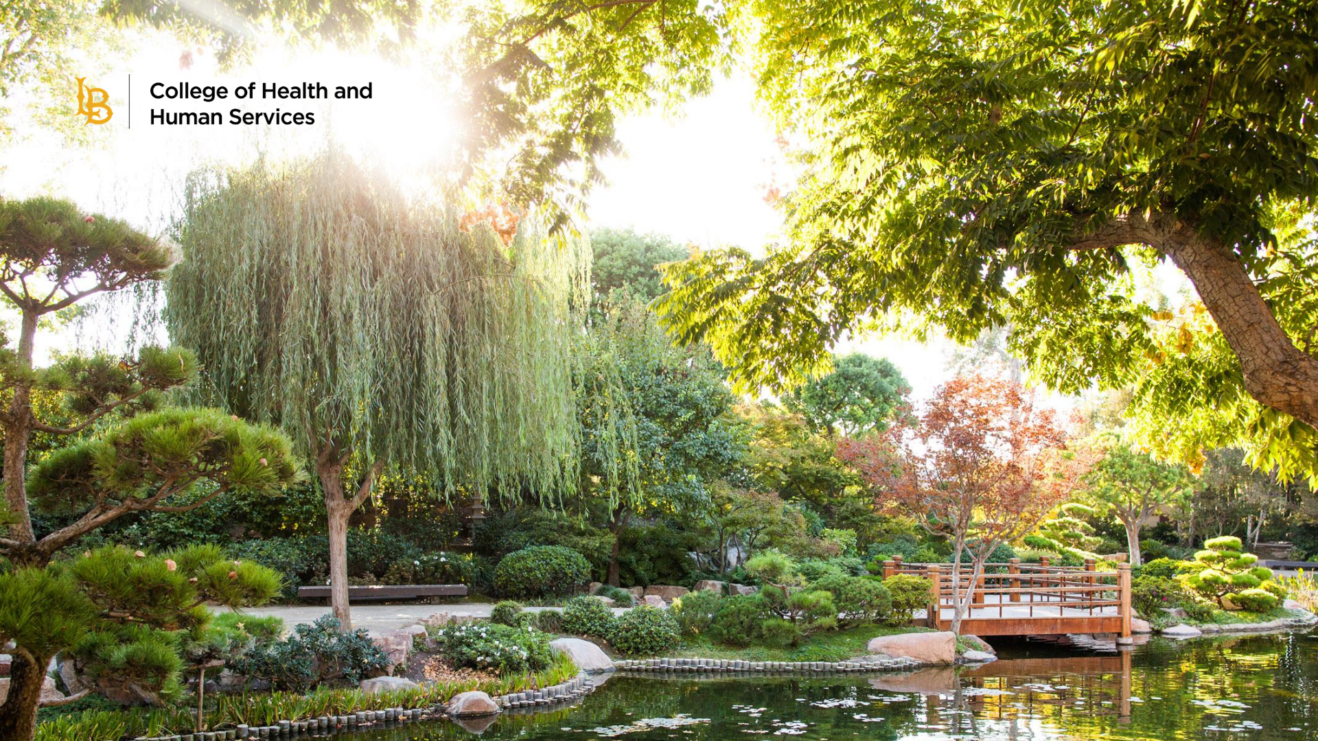 japanese garden zoom background