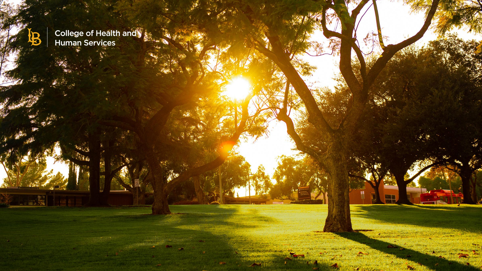 chhs_zoom_background_trees.png Trees zoom background