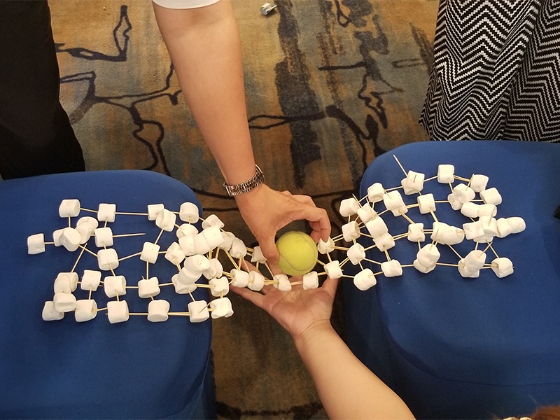 bridge constructed of toothpicks and marshmellows