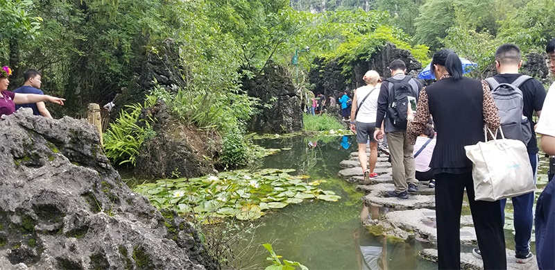 nature walk in China
