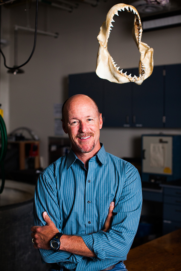 chris-lowe-shark-lab.jpg Image: chris-lowe-shark-lab.jpg