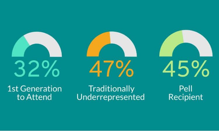 CO Enrollment Dashboard Image