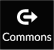 Commons Option