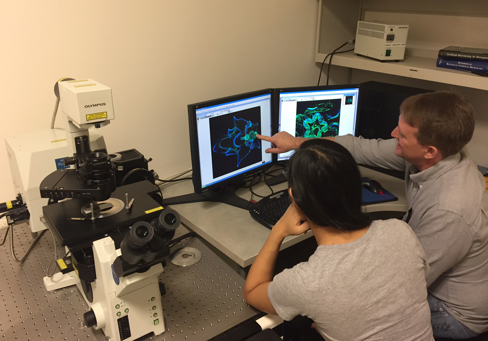 confocal.jpg examining seastar larvae on the confocal microscope