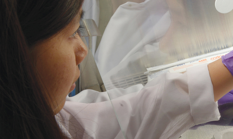 Faculty works in lab