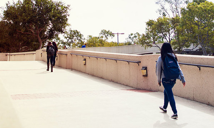 Students walk on bridge