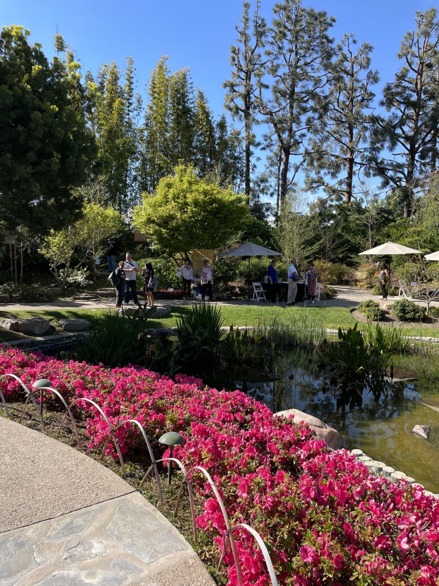 People talking near the pond at the Japanese Garden