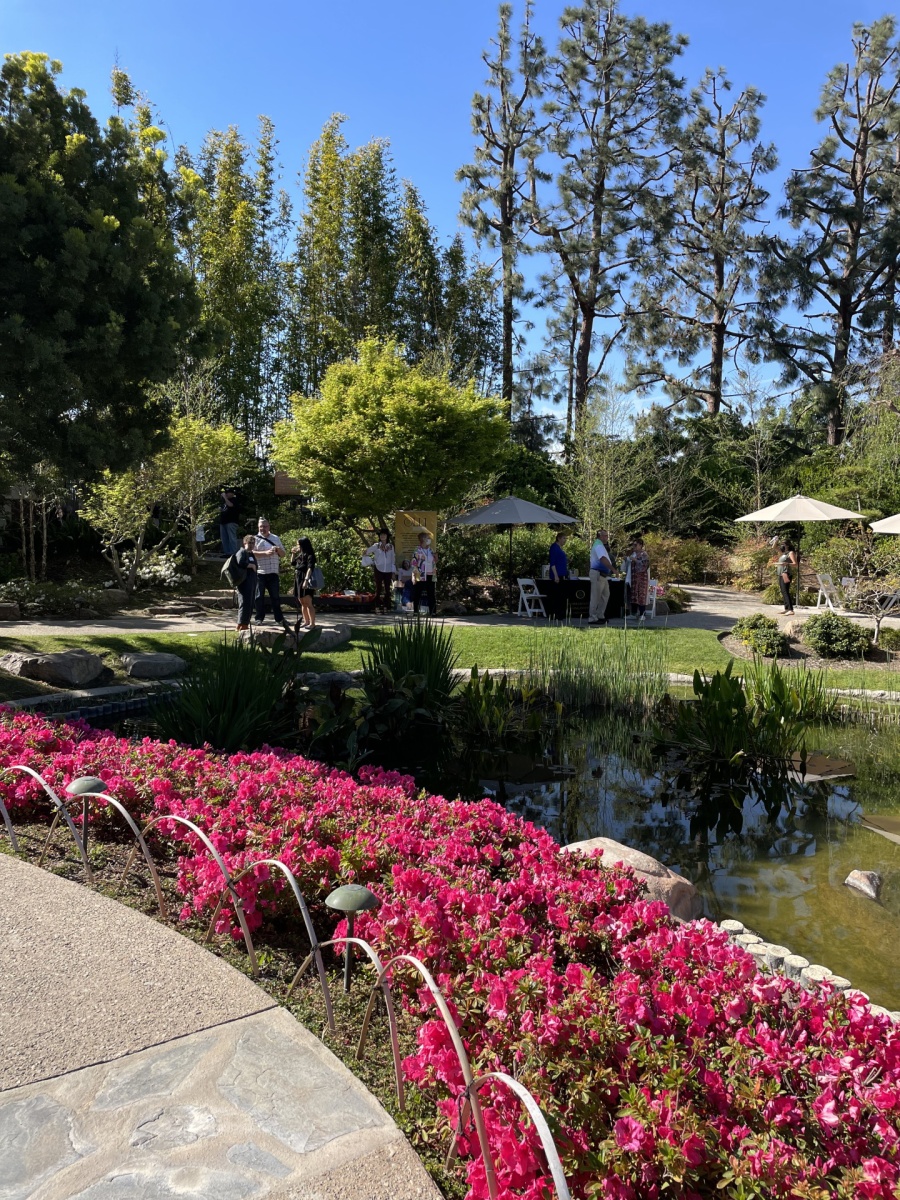 content_academic-senate-jg1.jpeg People talking near the pond at the Japanese Garden