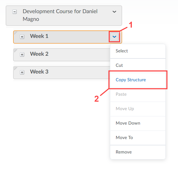 Copy module