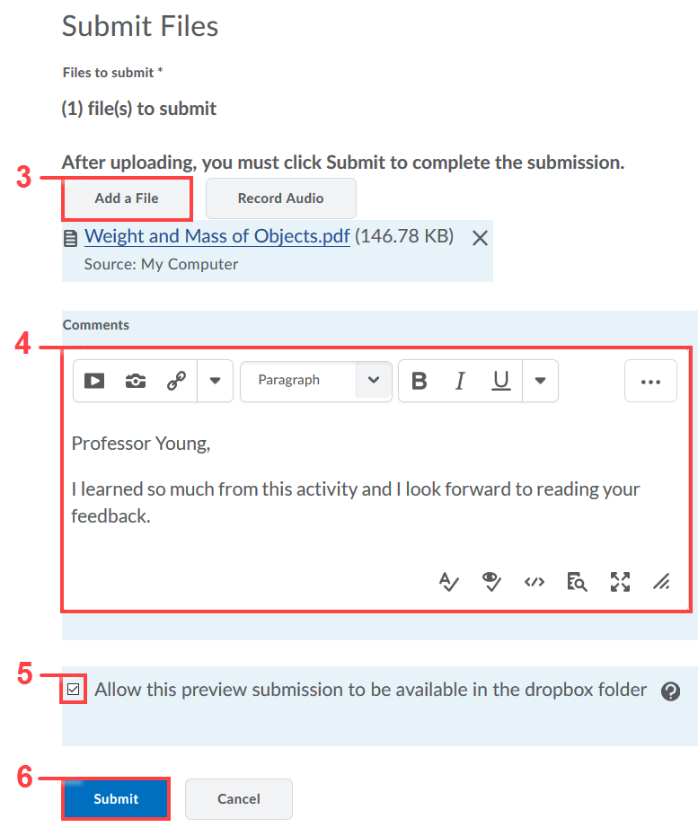 previewing dropbox file submission