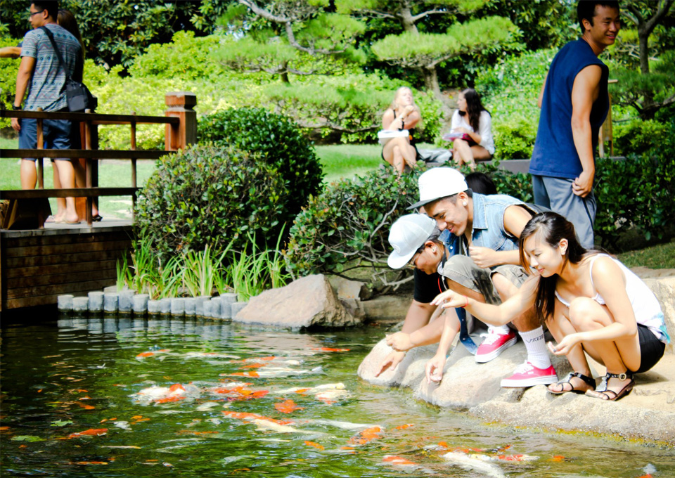 Children feeding the fish