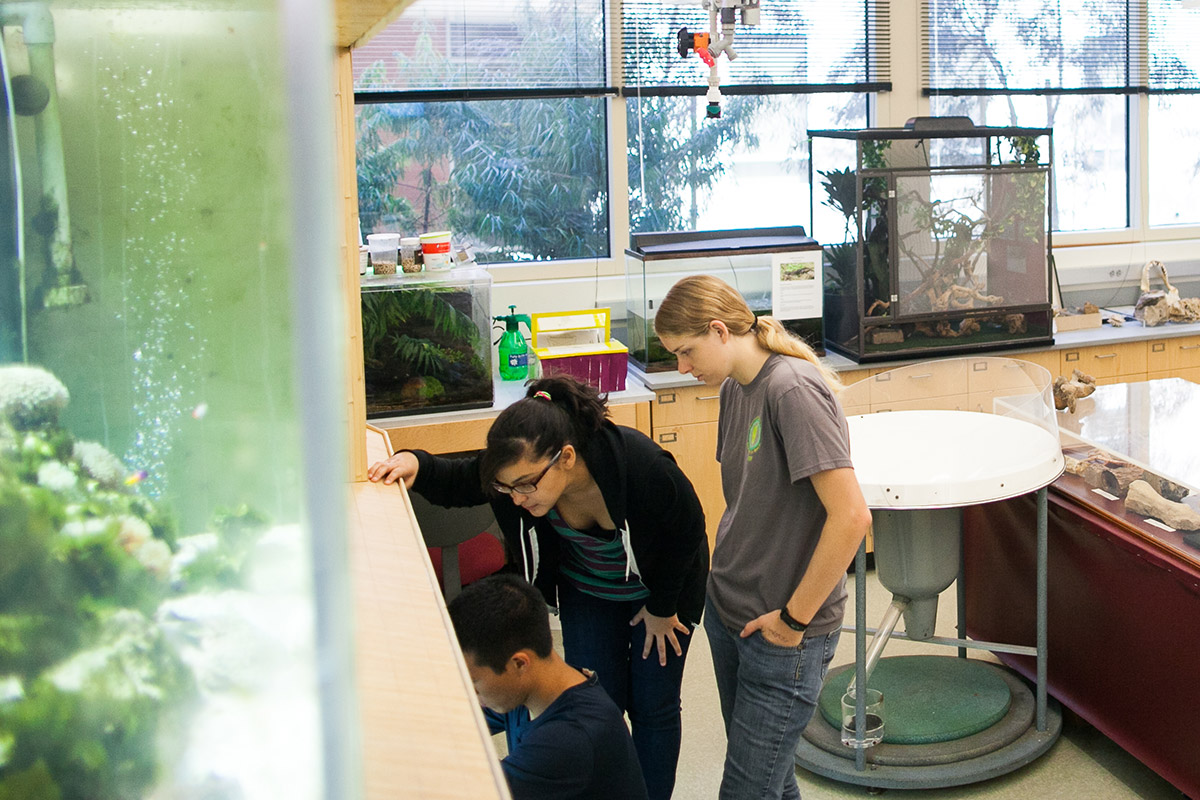 content_lab.jpg Student in lab