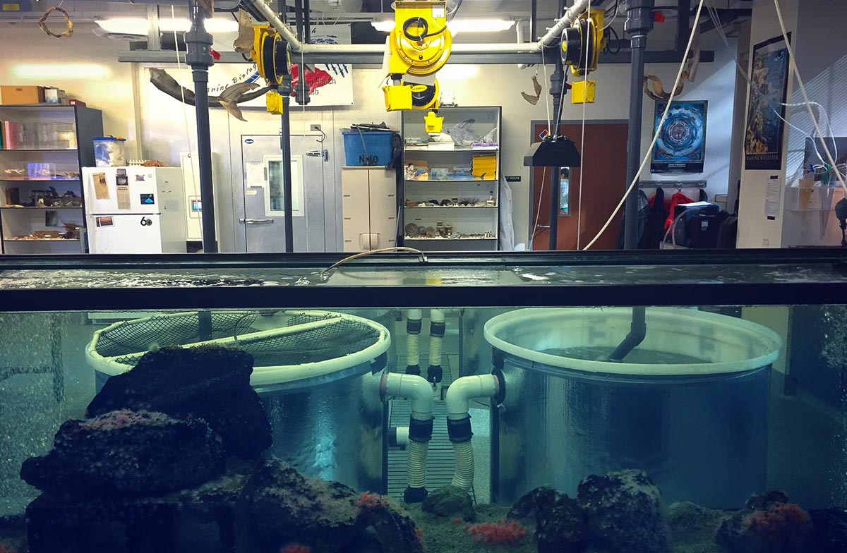 Facilities - Marine Biology - Biological Sciences Department