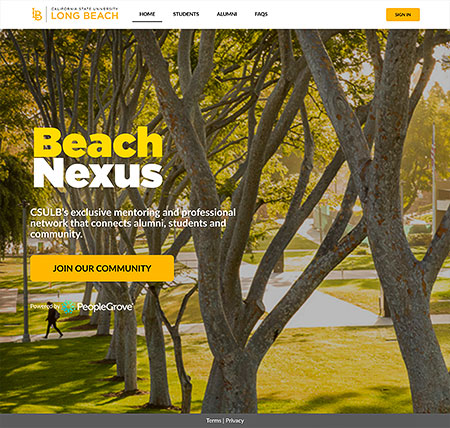 Beach nexus website