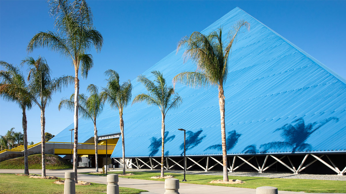 Palm trees in front of the Walter Pyramid
