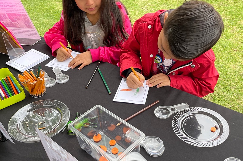 critter_exhibit.jpg kids drawing their observations on critters