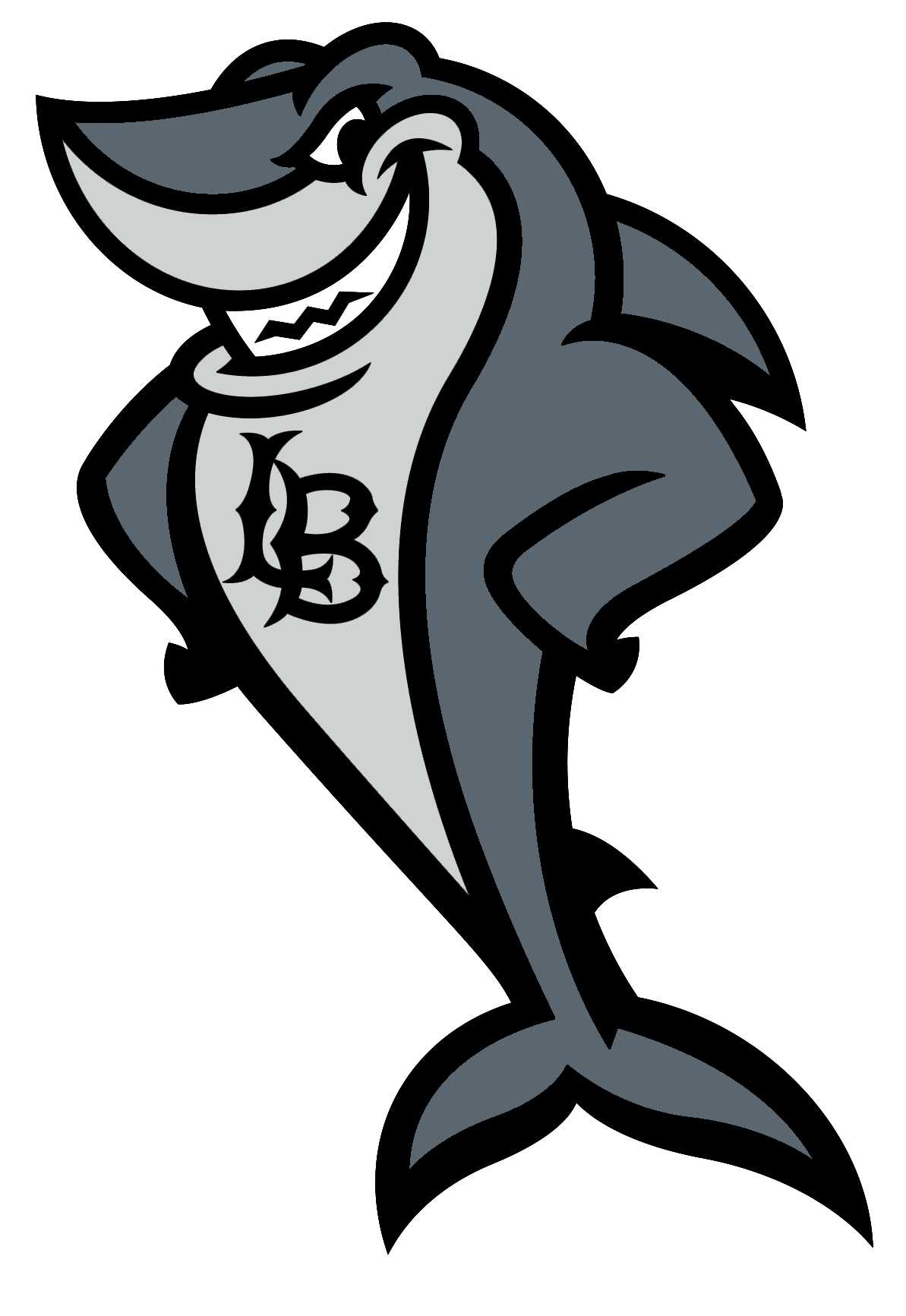CSULB Unveils New Shark Mascot California State University Long Beach