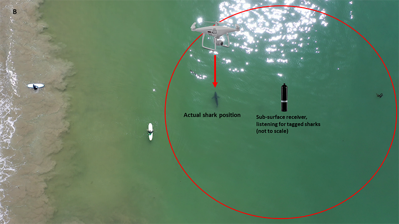 drone_detection.png Data from acoustic receivers and drone locations can be comb