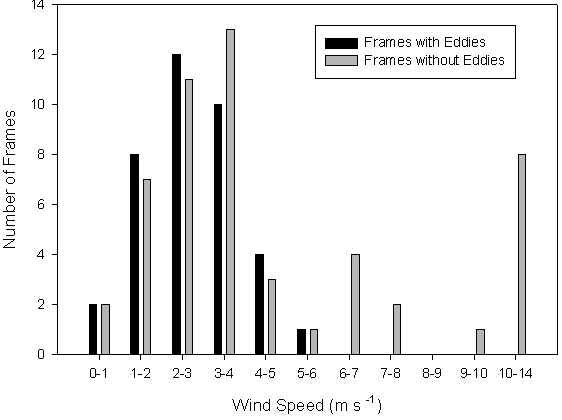 eddy wind speed