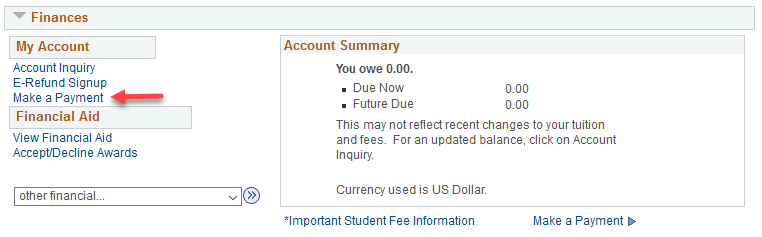 Screenshot of the Finances section on the Student Center wit