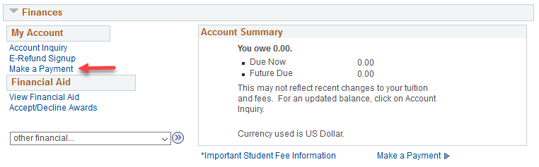 ees12.png Screenshot of the Finances section on the Student Center wit