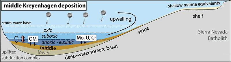 Middle Kreyenhagen deposition on deep-water forearc basin