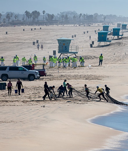 Students pulling in fishing nets