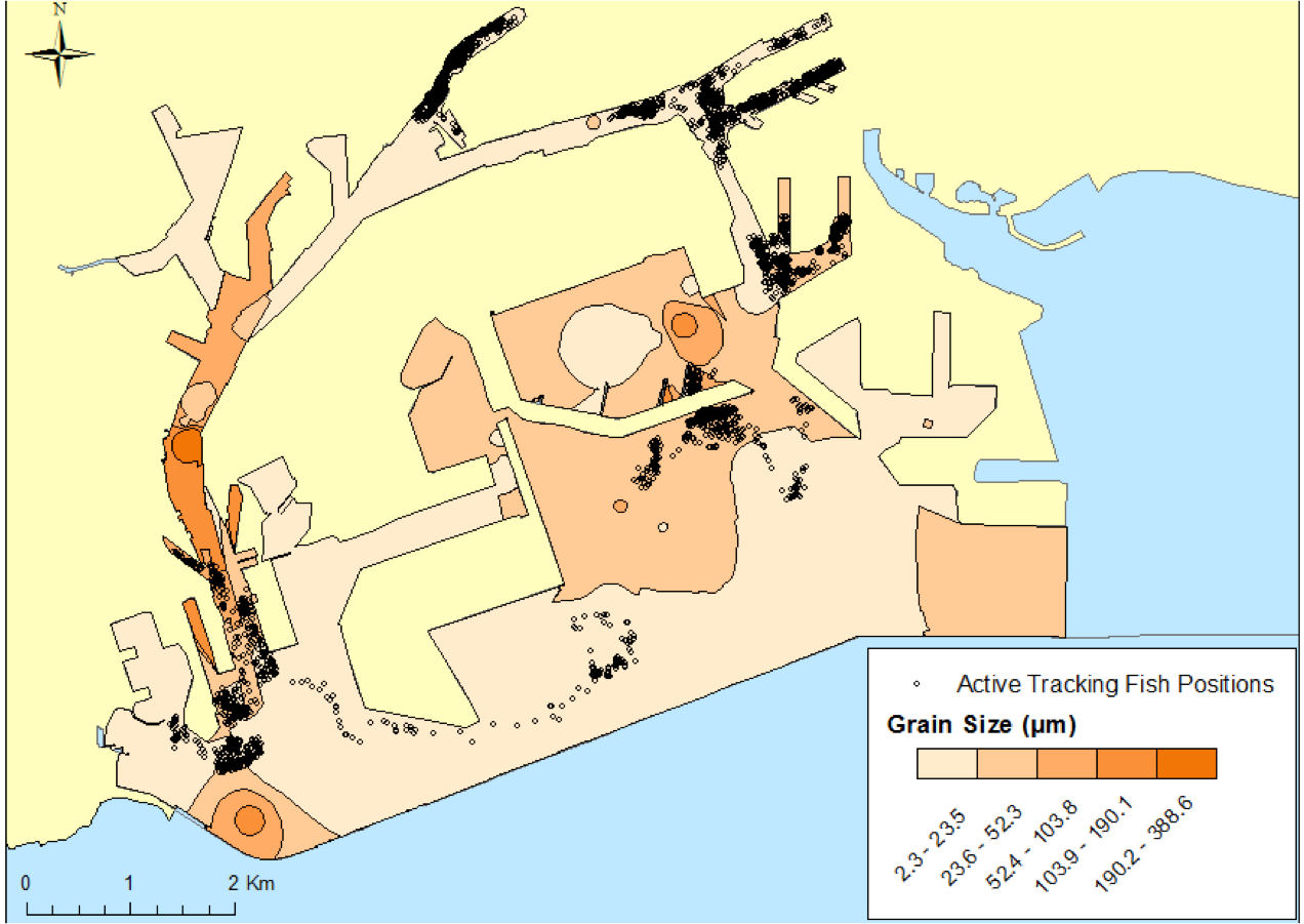 Fig. 15. active tracking locations and grain size
