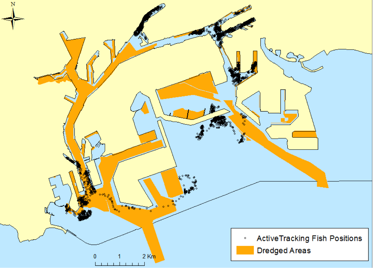 Fig. 17. active tracking locations and dredged areas