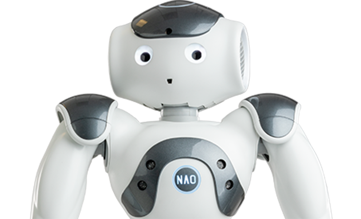fm_129-robot_nao-212177_0.png Robot