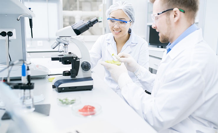 Food scientists testing food