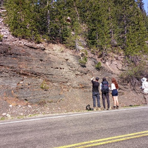 Geology students surveying