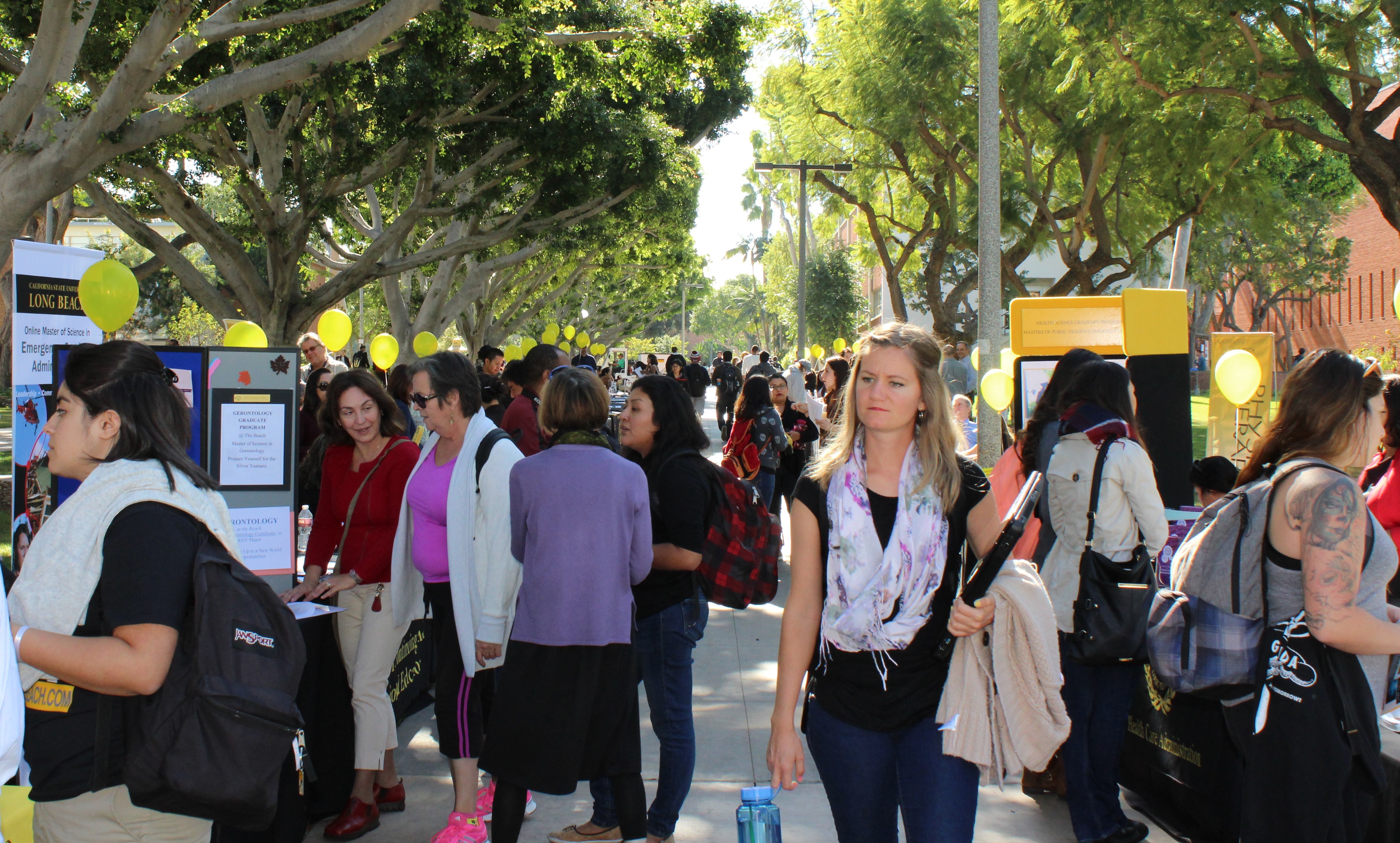 Graduate & Professional Schools Fair