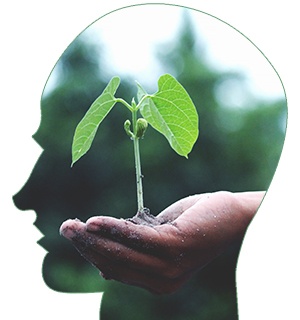 growth-mindset.jpg Growth mindset concetp image