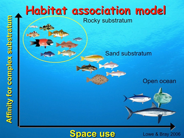 Fig. 2. habitat association model of fishes