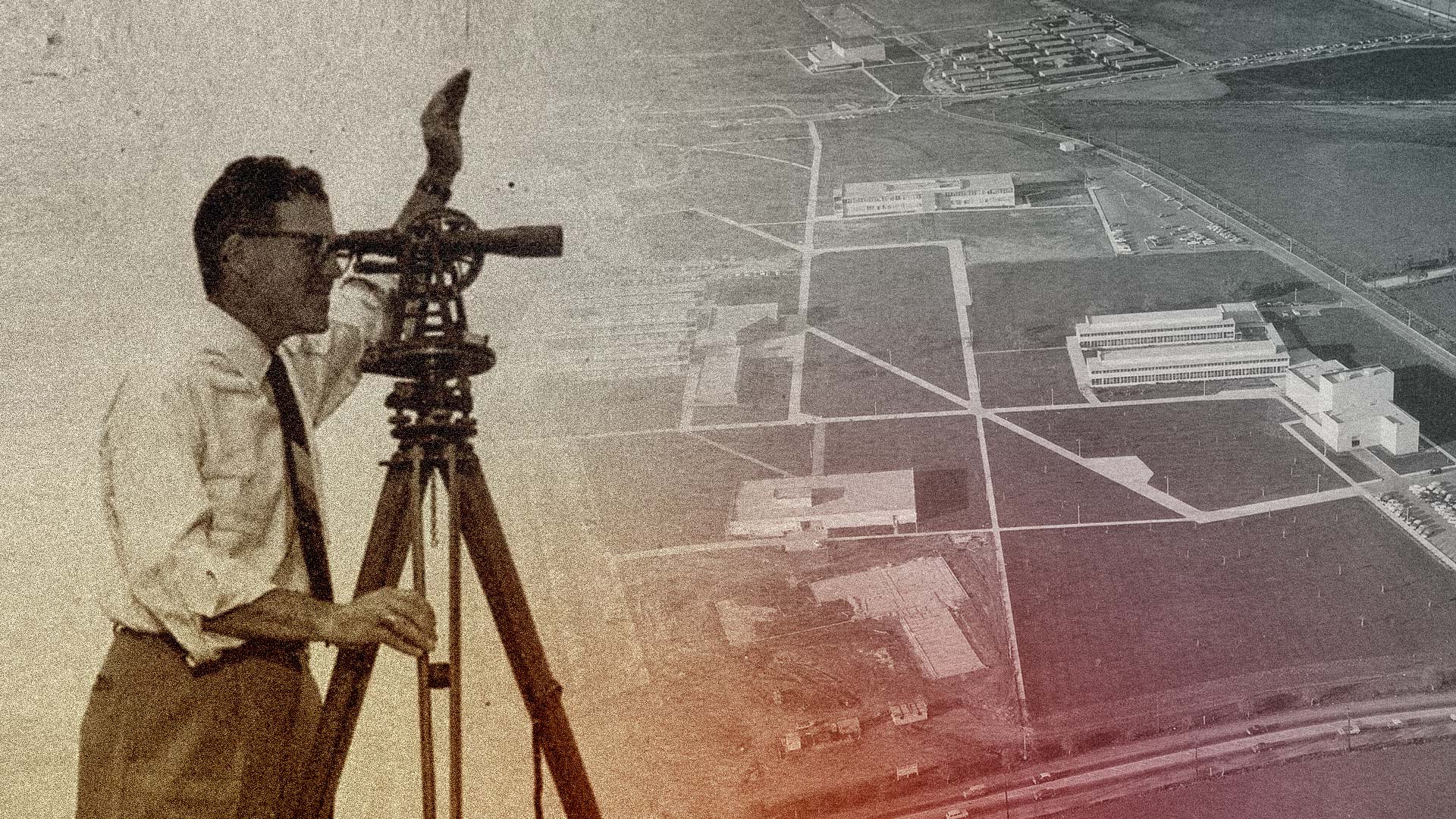 Professor surveying CSULB landscape