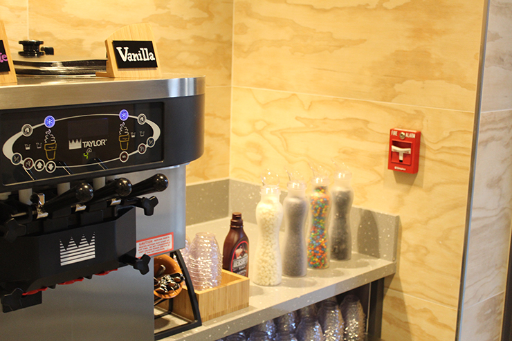 Frozen Yogurt Display