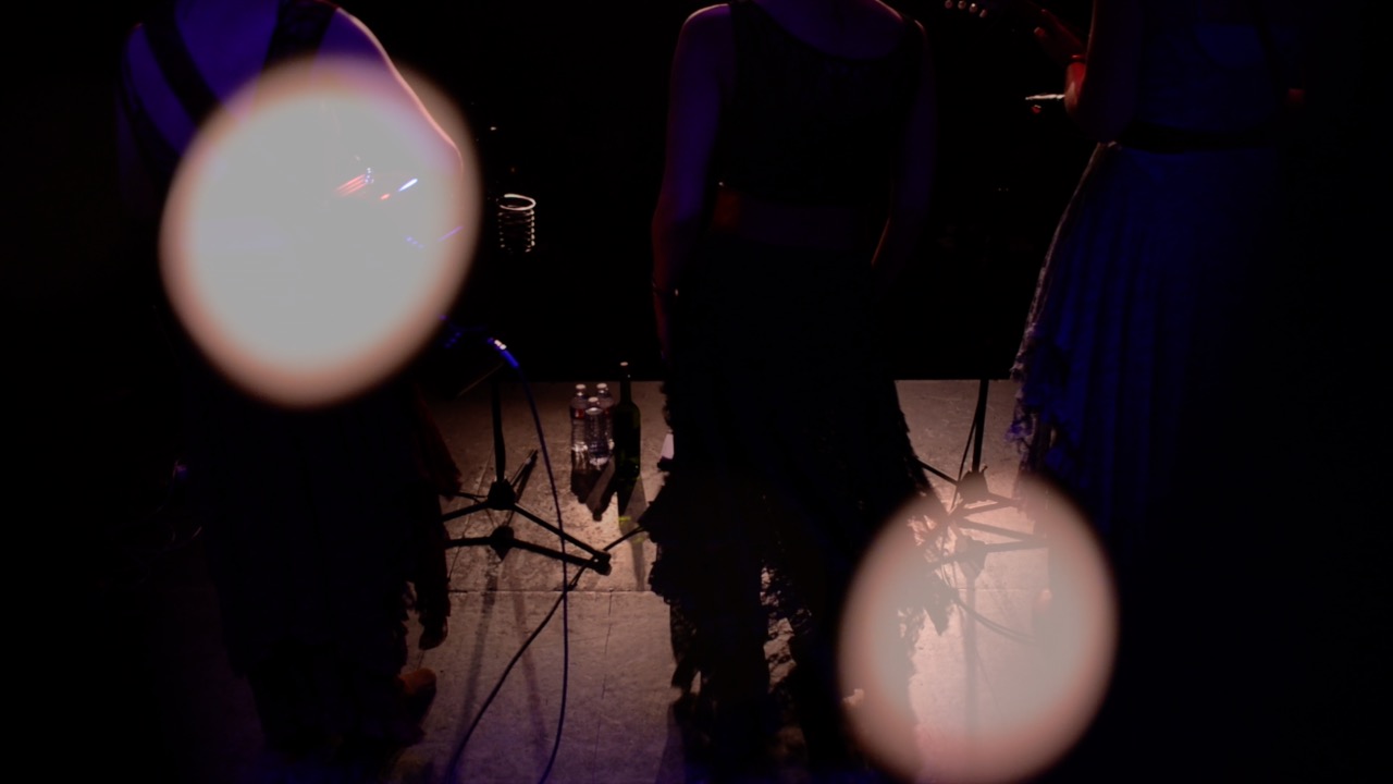 Honey Whiskey Trio performs a song.