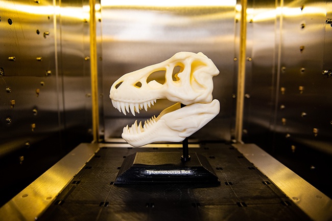 i-space_4_resized.jpg A 3D model of a dinosaur skull