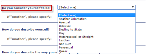 id4.png Screen shot of Identity tab