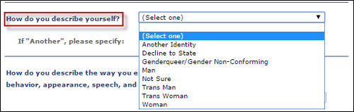 id5.png Screen shot of question two on Identity tab